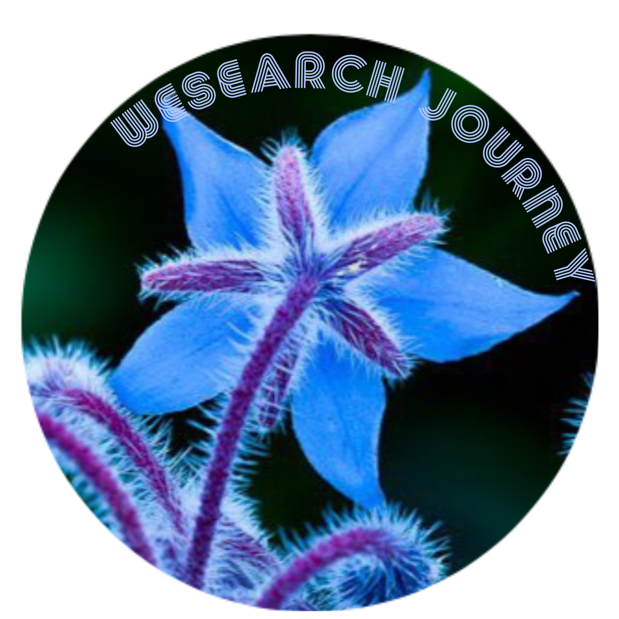 Ancestral Wayfinding